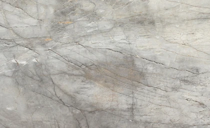 Silver Roots — supplier product image