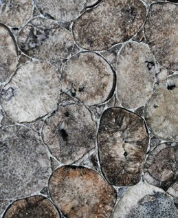 Agate Moon — official supplier catalog image