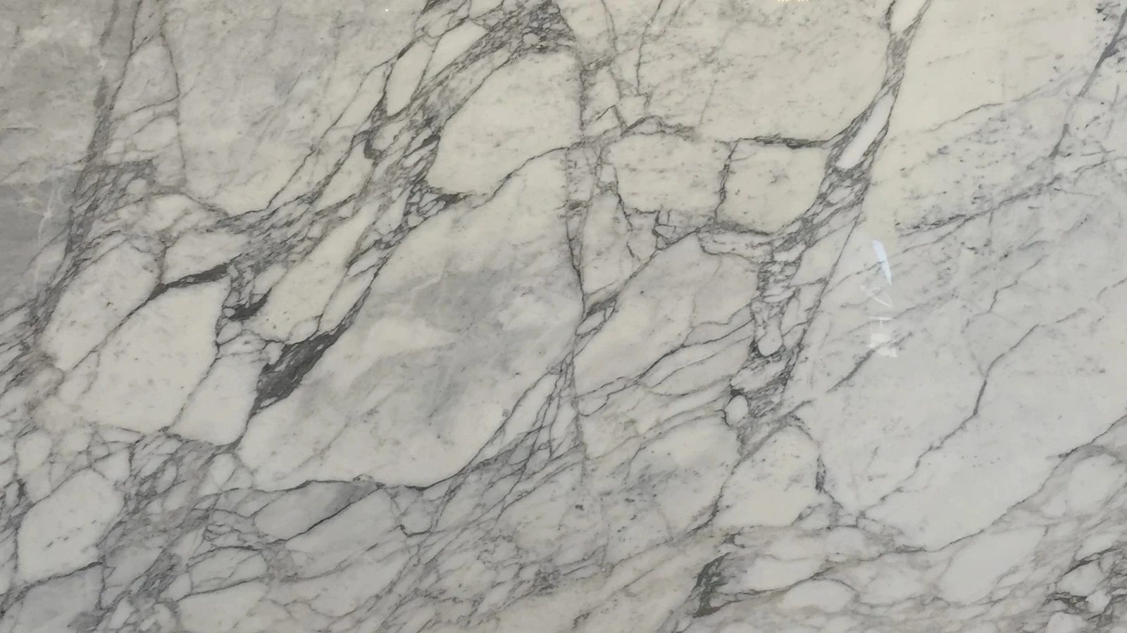 Catalog image for CALACATTA GOLD LUX POLISHED PORCELAIN 12MM B 128X64