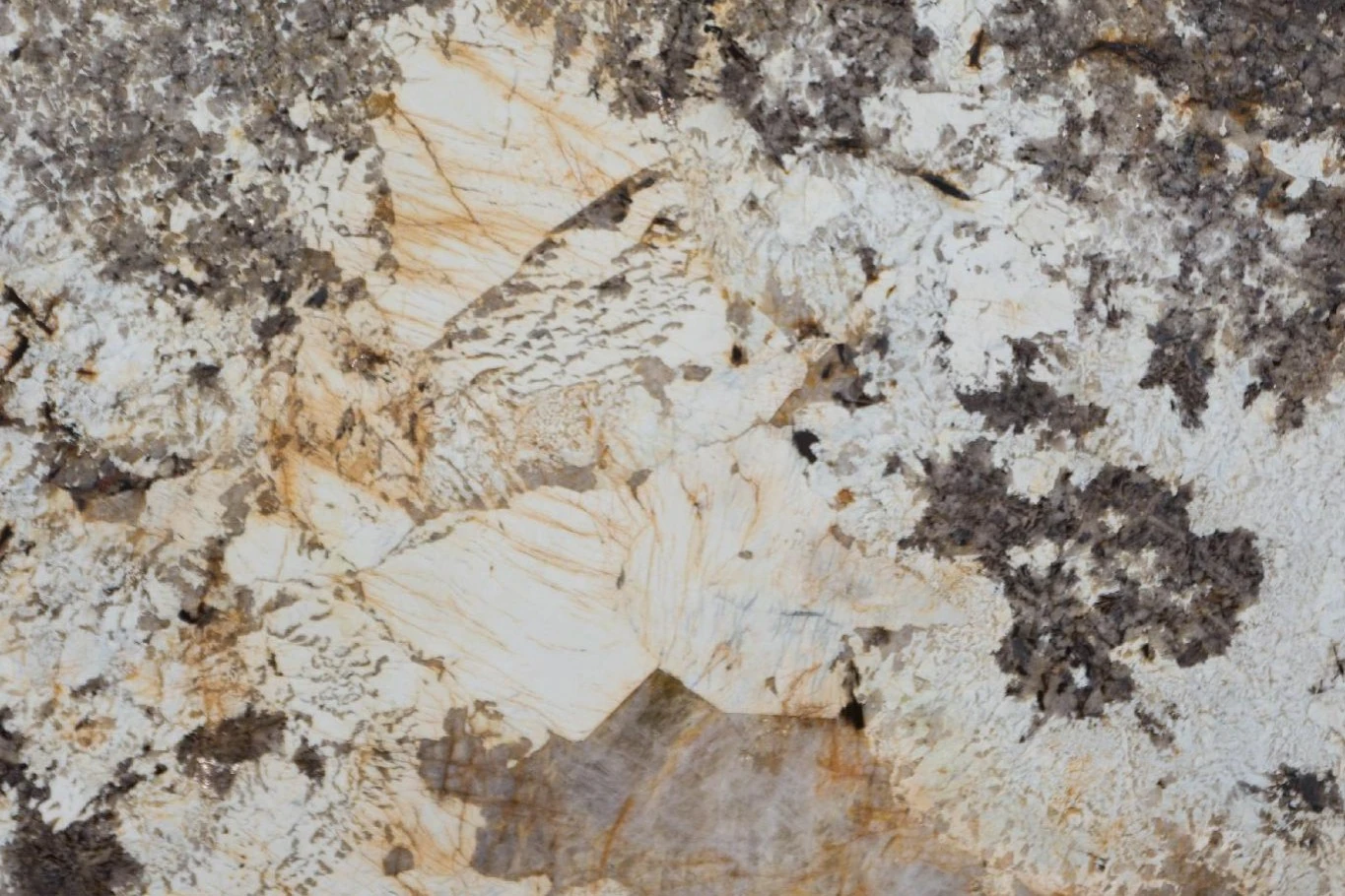 Catalog image for SMALL BLANC POLISHED GRANITE 2CM