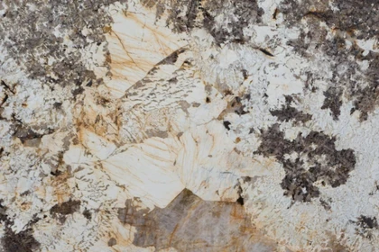 Catalog image for SMALL BLANC POLISHED GRANITE 2CM