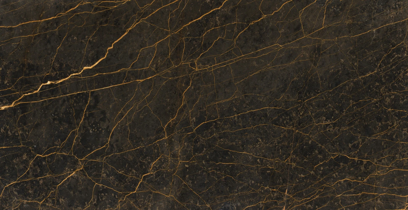 PORT LAURENT 2CM LEATHER — supplier catalog image