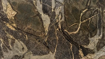 Catalog image for INVICTUS POLISHED GRANITE 2CM