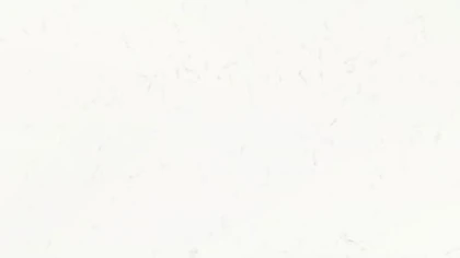 Catalog image for CARRARA C POLISHED N ME QUARTZ 2CM JUMBO 128X63