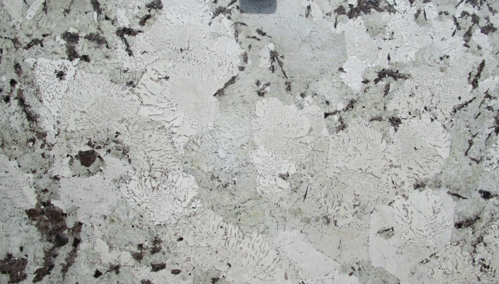 EVEREST WHITE 2CM POLISHED — supplier catalog image
