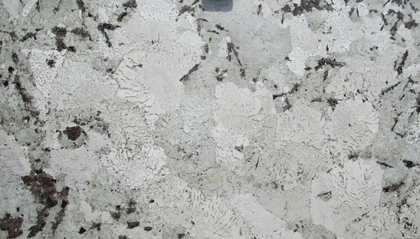 EVEREST WHITE 2CM POLISHED — supplier catalog image