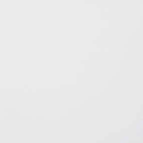 Premium Plus White Quartz Sample