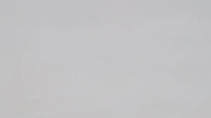 Catalog image for BIANCO EXTRA SMALL GRAINS POLISHED GRANITE 2CM