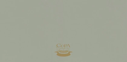 COPA SURFACES URBAN GREY 3CM PLUS SUPER JUMBO 135X76 — supplier catalog image