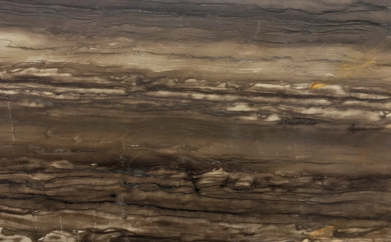 Catalog image for SEQUOIA BROWN POLISHED MARBLE 2CM