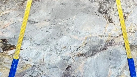 Catalog image for BRECCIA AMERICA HONED MARBLE 2CM