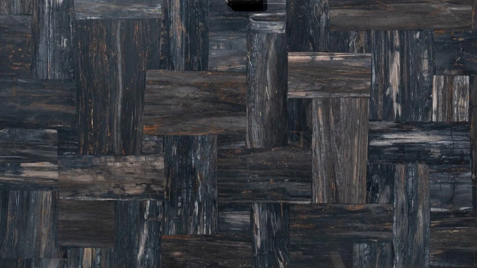 Catalog image for PETRIFIED WOOD BLACK RETRO POLISHED SEMI PRECIOUS STONE 2CM