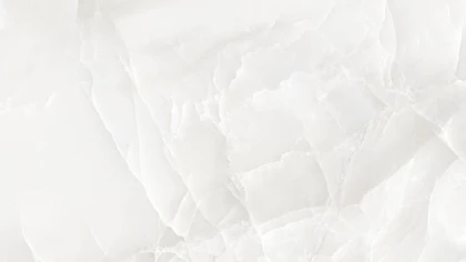 Catalog image for ONYX WHITE LUX POLISHED PORCELAIN 12MM A 128X64