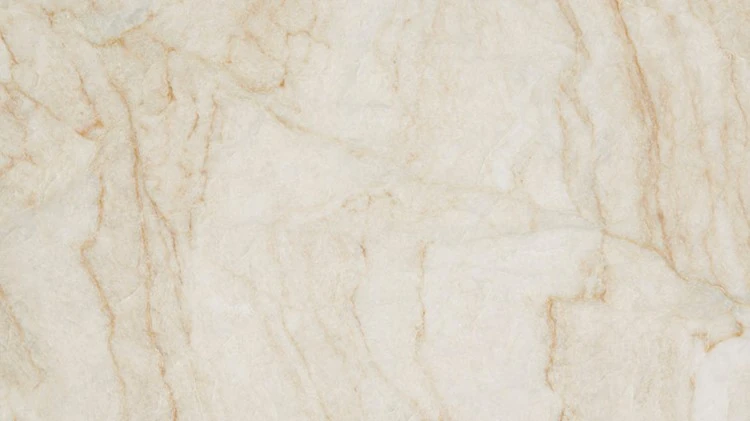 Catalog image for PERLA VENATO TECH POLISHED PORCELAIN 12MM A 126X63