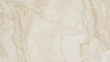 Catalog image for PERLA VENATO TECH POLISHED PORCELAIN 12MM A 126X63