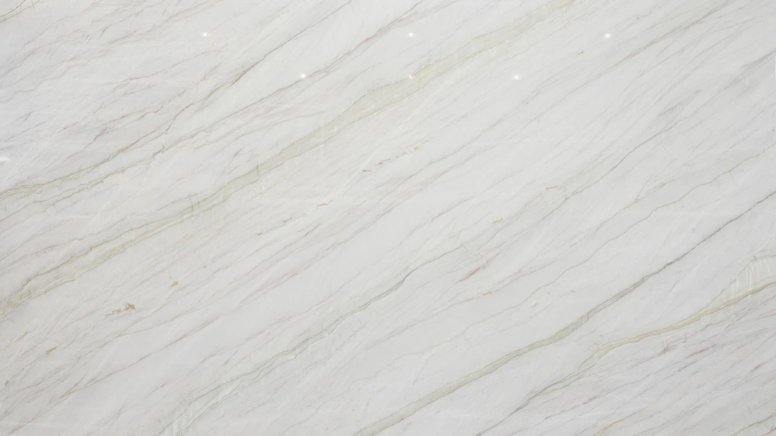 Catalog image for WHITE EVE LEATHER QUARTZITE 2CM
