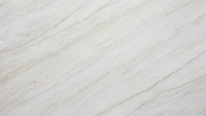 Catalog image for WHITE EVE LEATHER QUARTZITE 2CM