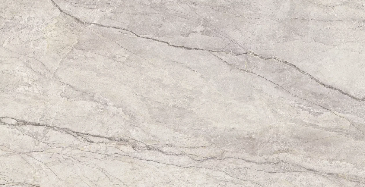 Catalog image for SILVER ROOTS MATTE PORCELAIN 12MM A 128X64