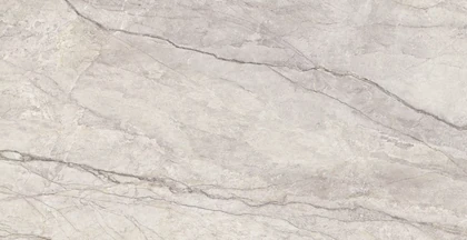 Catalog image for SILVER ROOTS MATTE PORCELAIN 12MM A 128X64