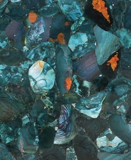 Jasper Green — official supplier catalog image