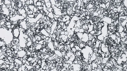 Catalog image for ROSE BAY POLISHED CAMBRIA 2CM JUMBO 132X65.5