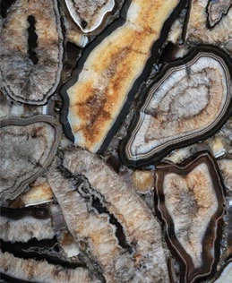 Agate Phoenix — official supplier catalog image