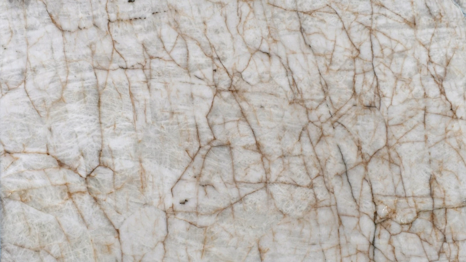 Catalog image for ICEBERG GOLD LEATHER QUARTZITE 2CM