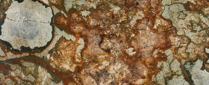 Desert Canyon - Full Slab