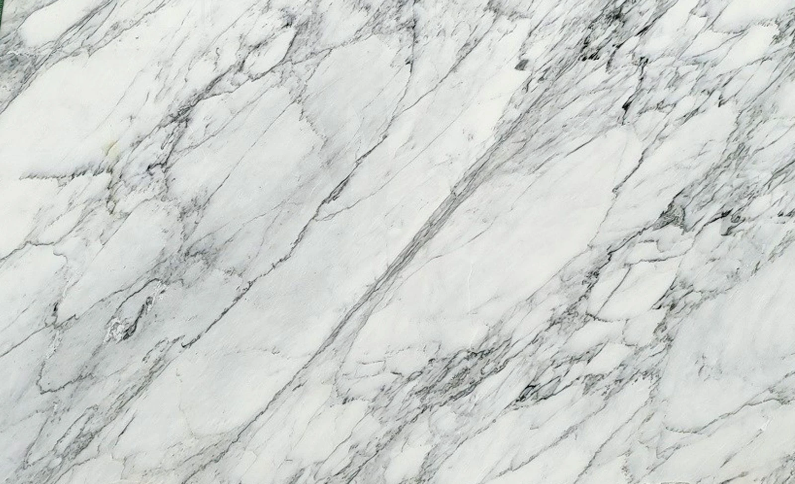 Calacata Venato — supplier product image