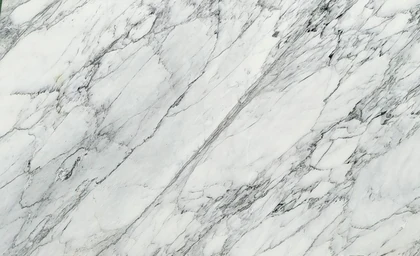 Calacata Venato — supplier product image