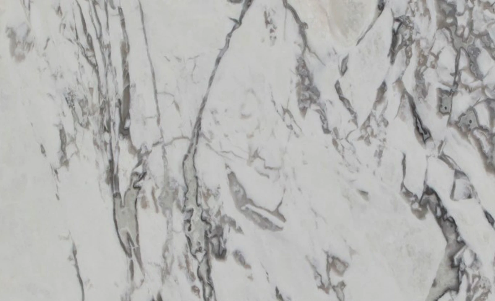 Dover White — supplier product image
