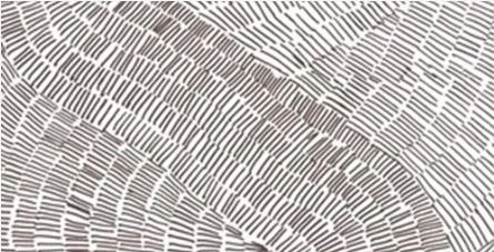 Catalog image for FOSSIL LUX POLISHED PORCELAIN 12MM A 128X64