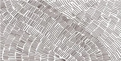 Catalog image for FOSSIL LUX POLISHED PORCELAIN 12MM A 128X64