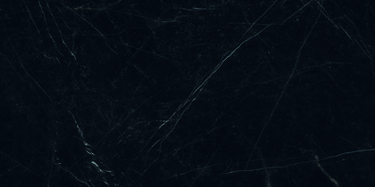 Nero Marquina Magnifica porcelain catalog swatch