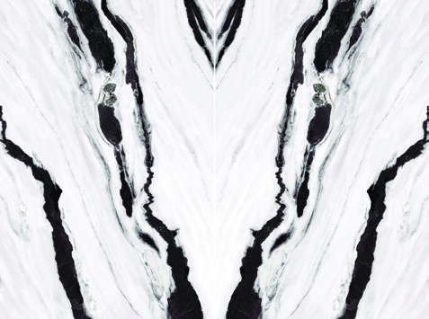 Panda Pearl Revera quartz catalog swatch