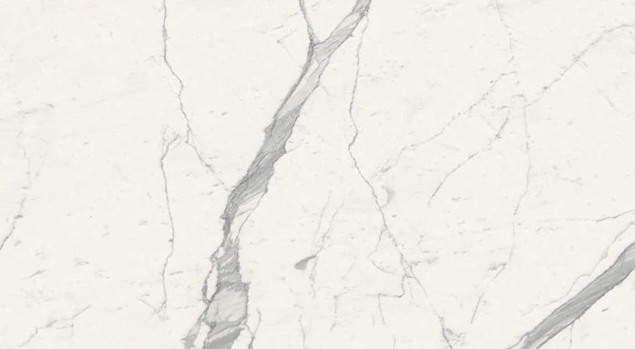 Catalog image for BIANCO VENATO POLISHED PORCELAIN 10MM 120X60