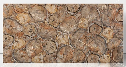 SEMI-PRECIOUS MAER CHARM BEIGE PETRIFIED WOOD RETRO 2CM BRUSHED — supplier catalog image