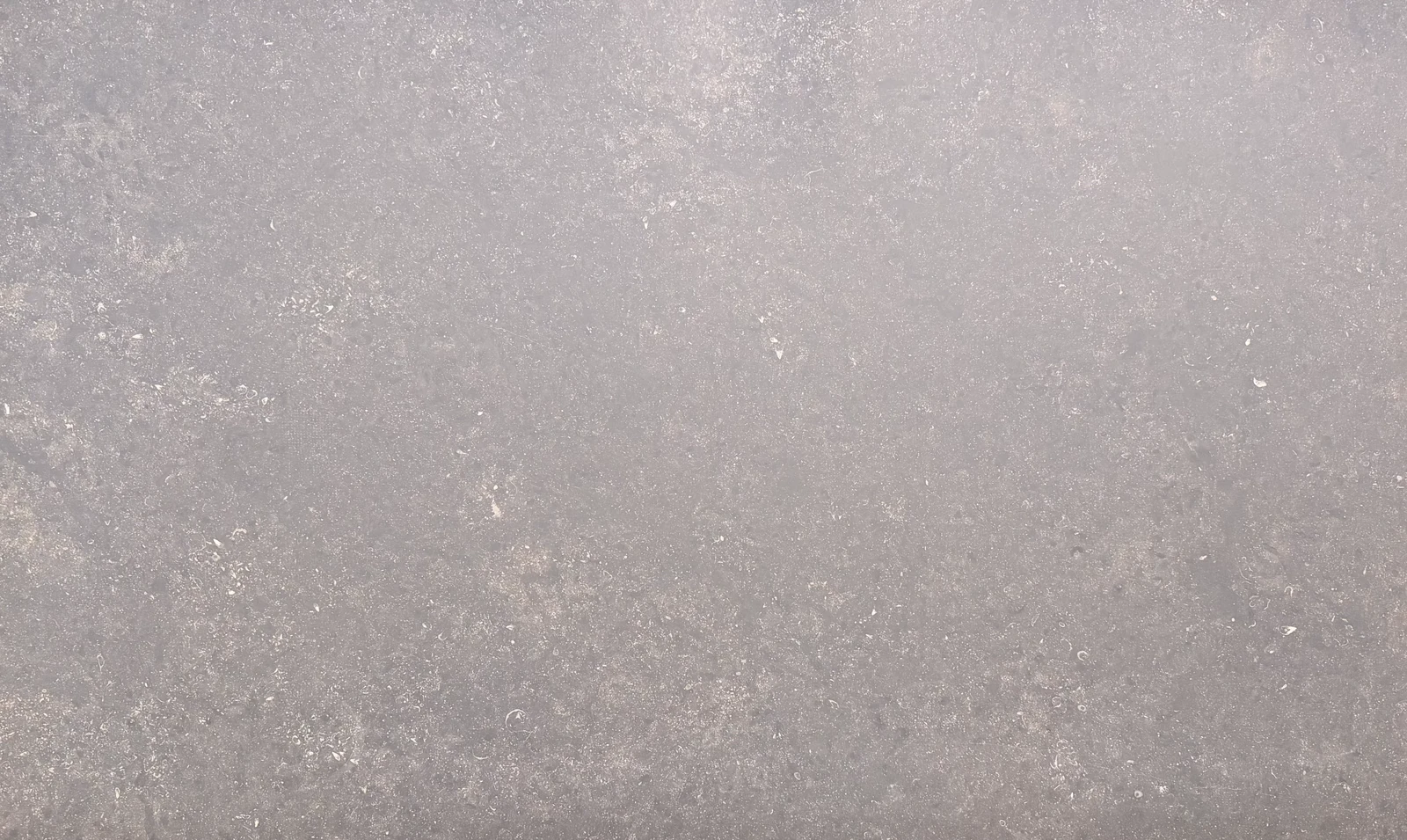 Catalog image for PETITE LEATHER MARBLE 2CM