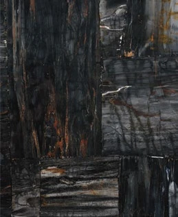 Petrified Wood Black — official supplier catalog image