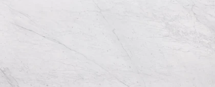 Bianco Venatino Polished - Full slab photo is an example of the structure and color of this product, which will vary.