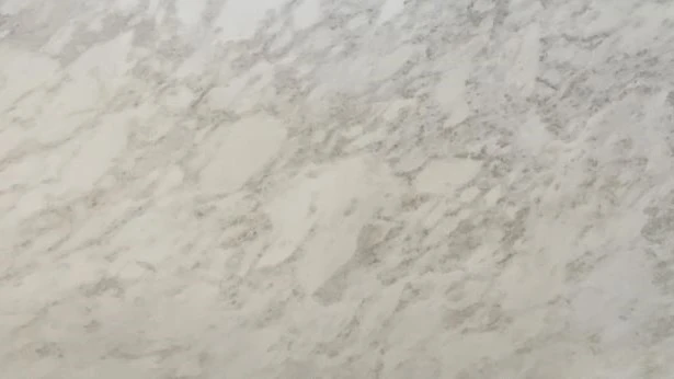 Catalog image for BIANCO RHINO POLISHED GRANITE 2CM