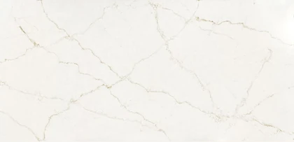Catalog image for BLANC ELYSEE POLISHED SILESTONE 2CM JUMBO 128X63