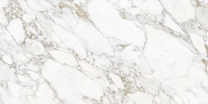 Catalog image for ARABESCATO GOLD HONED MARBLE 2CM