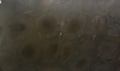 Catalog image for TARTARUGA POLISHED QUARTZITE 2CM