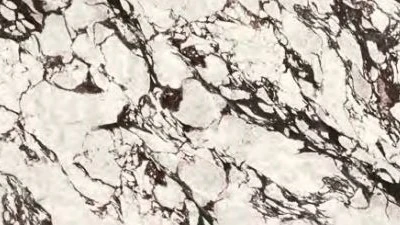 Catalog image for CALACATTA VIOLA POLISHED PORCELAIN SLAB 12MM B 128X64