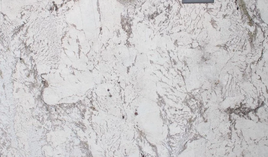ALPINUS WHITE 3CM POLISHED — supplier catalog image