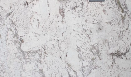 ALPINUS WHITE 3CM POLISHED — supplier catalog image