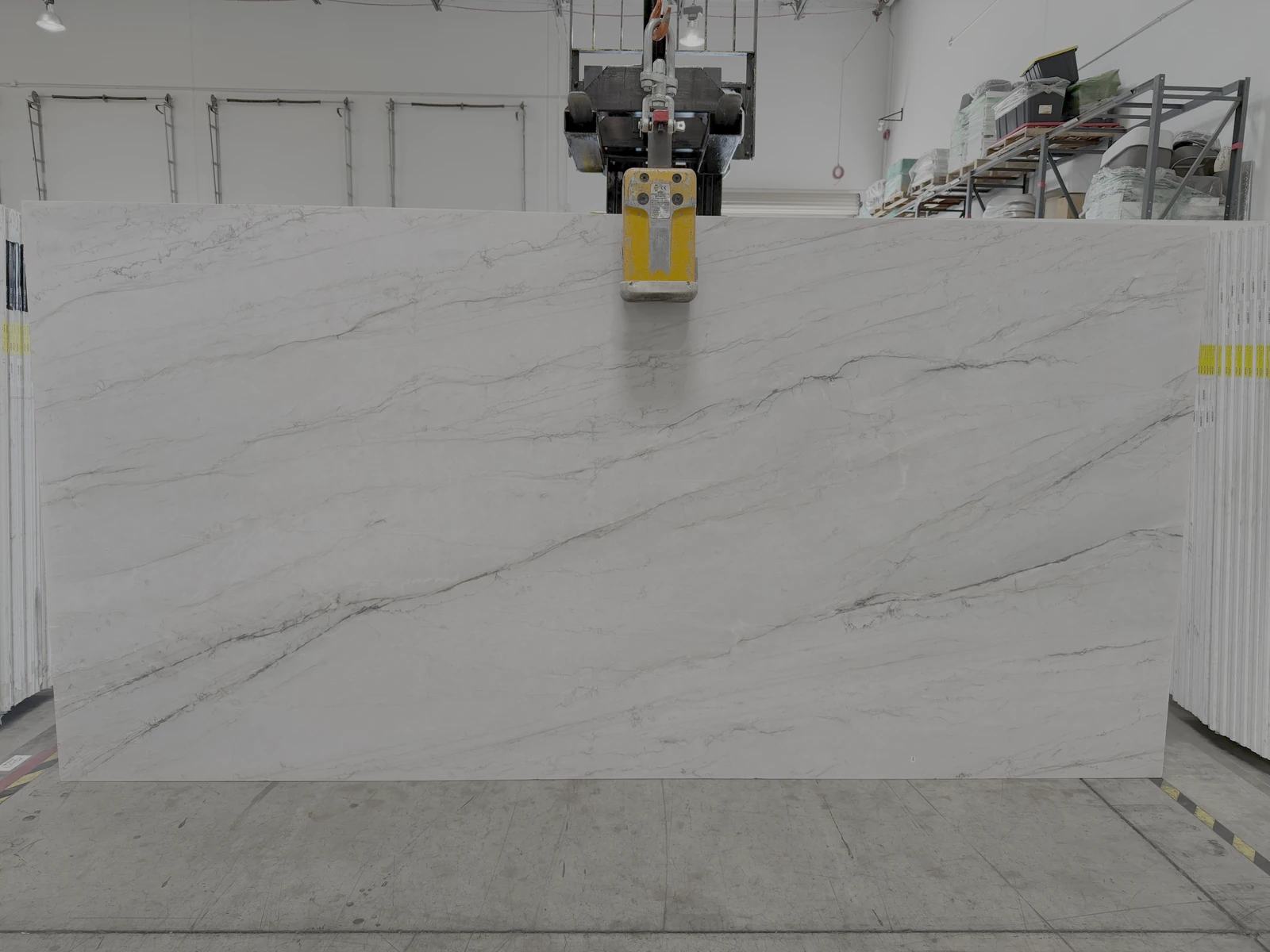PETRAMIA SEA PEARL 2CM JUMBO 126X63 - BM/PR — supplier catalog image
