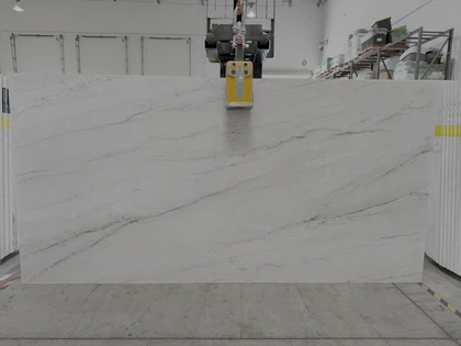 PETRAMIA SEA PEARL 2CM JUMBO 126X63 - BM/PR — supplier catalog image