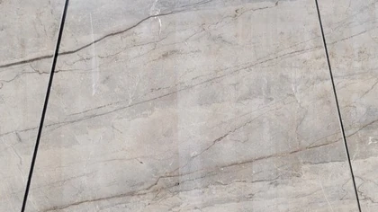 Catalog image for SILVER ROOTS LEATHER MARBLE 2CM